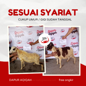 damba dapur aqiqah cirebon